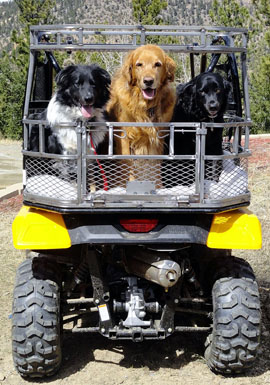 Dusty Dogs ATV Dog Box